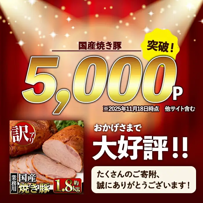 ＜定期便・計3回(連続月)＞ 焼き豚 (業務用) 約900g×2P×3回 計5.4kg 焼豚 チャーシュー 【ナンチク】i1206-A
