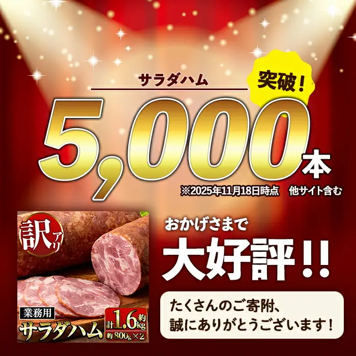 ＜定期便・計3回(連続月)＞ サラダ ハム (業務用) 約800g×2本×3回 計4.8kg  プレスハム 【ナンチク】i1204-A