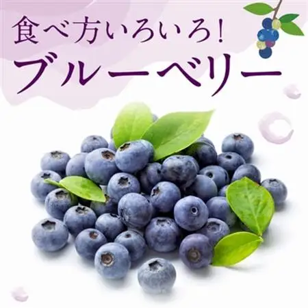 冷凍ブルーベリー 1kg【配送不可地域：離島】【1689025】