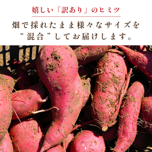 【訳あり】 丹波篠山産 さつまいも 追熟 紅はるか サイズ混合 5kg （M～2L）さつま芋 [CD112]