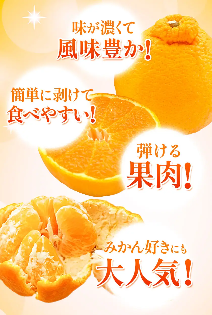 不知火 熊本 訳あり 5kg 不知火
