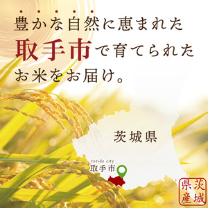 【数量限定】R7年産取手市産あきたこまち 精米5kg|お米 米 白米 茨城県 取手市（BS011）