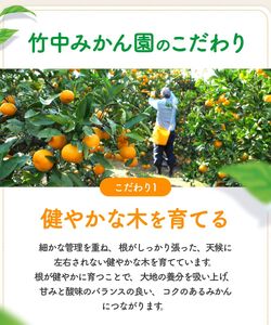 早生 有田みかん10kg (大玉）2L～ ※2026年11月～2027年1月中旬順に順次発送予定 【tkn004-wr-l-10-12A】