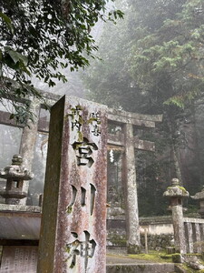米 京都・亀岡産きぬひかり「宮川神社米」3kg(1kg×3袋)  精米