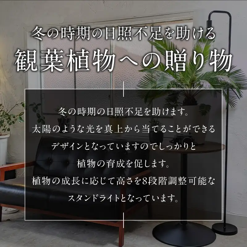植物育成LEDライト|Stand-PL 15W 植物 育成 LED ライト Stand-PL 高さ 調整可能 シンプル インテリア 雑貨 植物ライト 育苗 スタンド 日照不足 光合成 観葉植物 多肉植物 室内 でんらい 愛知県 小牧市 送料無料 [172C23]