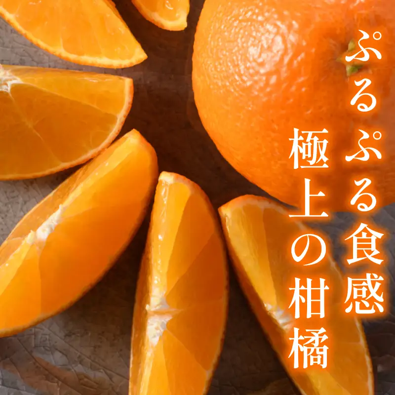 【先行予約】宗方のまどんな（家庭用）約1.5kg