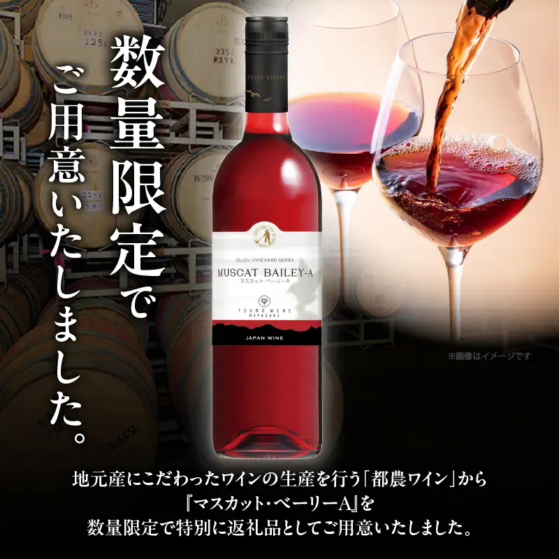【数量限定】マスカット・ベーリーA 2本セット ワイン 酒 飲料 アルコール 国産_T014-0545