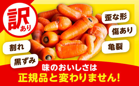 【訳あり】 北海道 にんじん 10kg （土付き）《足寄町》【えとりファーム】[BEBA006]