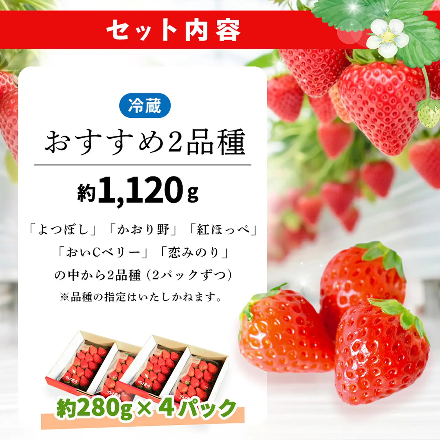 【2026年12月発送】【先行予約】【農場直送！】いちご2品種食べ比べ(約280g×4P) K100064
