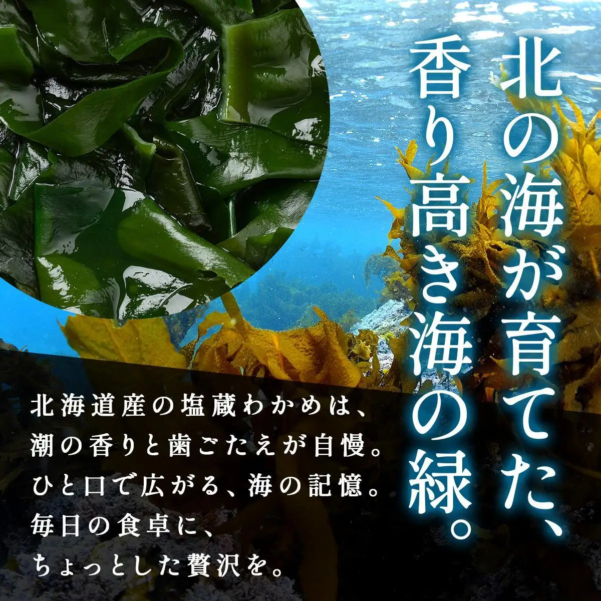 塩蔵ワカメ 3kg【ysk-005】わかめ ワカメ 海藻 海産物 おにぎり 味噌汁 うどん そば 小分け 国産 伊達産