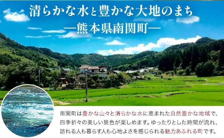 【先行受付】【2回定期便】特選 生たけのこ 食べ比べ 2kg×2回 《3月中旬-4月中旬頃出荷》 熊本県 南関町産 春 筍