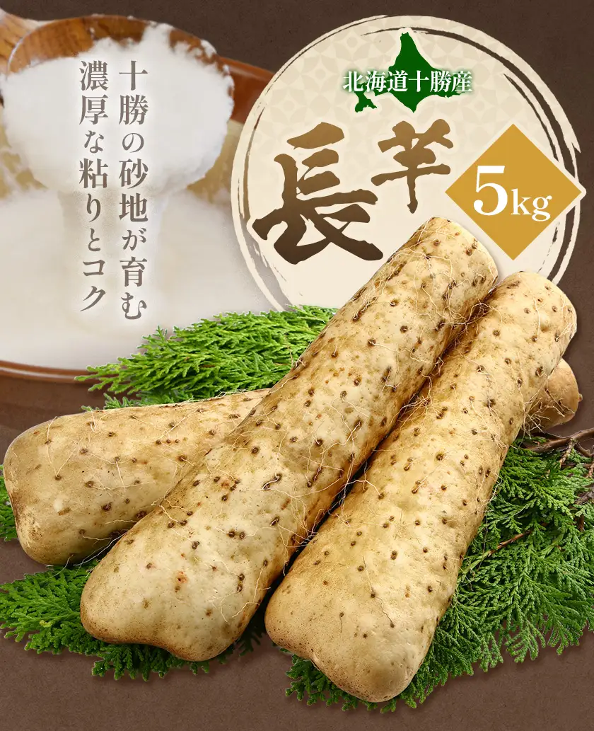 【ふるなびWEEK対象】 秋掘り ながいも 5kg 植村農場《12月上旬頃から出荷》