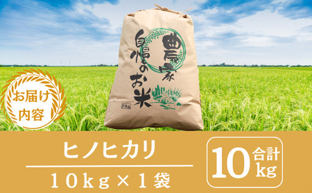 丹波産　ヒノヒカリ　10kg | お米 米 コメ 精米 白米 ご飯 ごはん 京都 南丹市