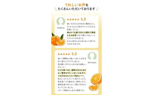 ボリューム満点！大玉  温州みかん 2kg ※秀優混合【2L～3Lサイズ】【2026年12月から2027年3月下旬頃に順次発送】＜味好農園＞/ 温州 蜜柑 みかん 柑橘 果物 フルーツ ミカン 甘い 美味しい【agy004-l-2】