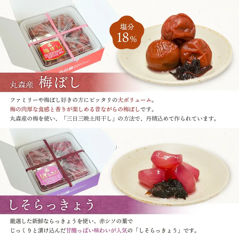 大満足　お漬物２種セット　梅ぼし　しそらっきょう　食べ比べ【02104】