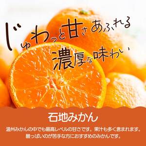 石地みかん 2.5kg レモン3～4個《2026年12月発送予定》栽培期間中 防腐剤 ワックス 不使用 おくはち農園 旬 柑橘 かんきつ フルーツ 果物 瀬戸内 166023
