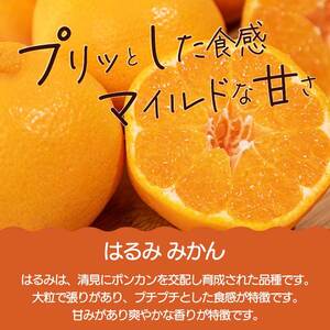 はるみ 2kg レモン3～4個《2027年2～3月発送予定》栽培期間中 防腐剤 ワックス 不使用 おくはち農園 旬 柑橘 かんきつ フルーツ 果物 瀬戸内 166024