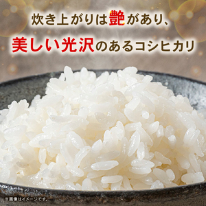 【使用しない】令和7年度 南国市産 コシヒカリ 白米 5㎏ | 数量限定 米 コメ お米 ご飯 おにぎり こめ 弁当 高知県 南国市 AH007
