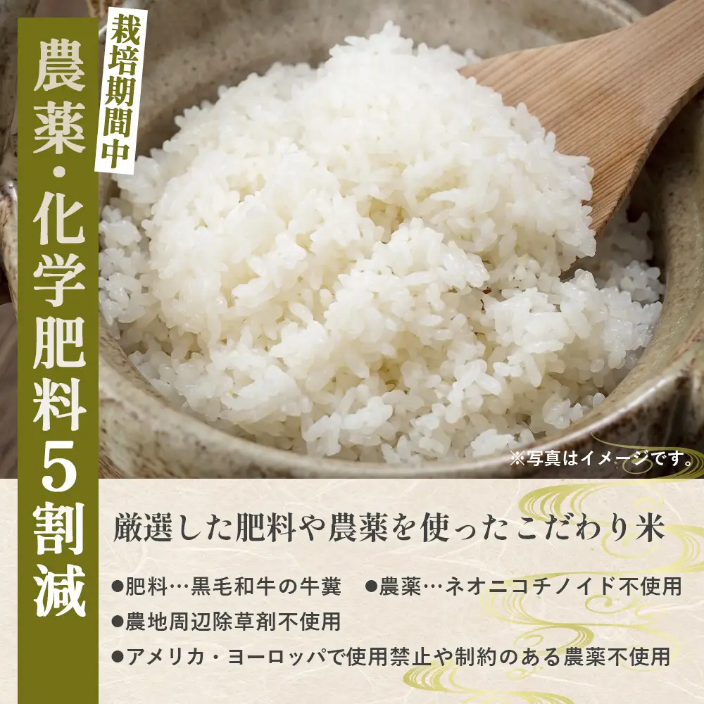 コシヒカリ 備後のめぐみ 5kg 【広島県産】 農家直送 こだわり栽培米 ／ お米 米 こめ 精米 白米 5kg 5キロ 栽培期間中 農薬5割減 化学肥料5割減 国産 産地直送 産直 お取り寄せ こだわり 特別栽培 食味 おいしい おすすめ 広島県 No.1173