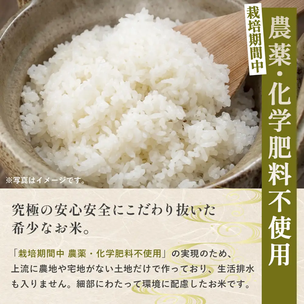 備後の恵み ゆうだい21 5kg 【広島県産】 農家直送 こだわり栽培米 ／ お米 米 こめ 精米 白米 5kg 5キロ 栽培期間中 農薬5割減 化学肥料5割減 国産 産地直送 産直 お取り寄せ こだわり 特別栽培 食味 おいしい おすすめ No.1174