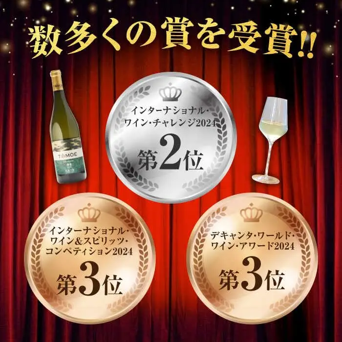 ワイン TOMOE シャルドネ 待月 白 辛口 750ml×2本 広島 三次ワイナリー [APAZ101] 白ワイン