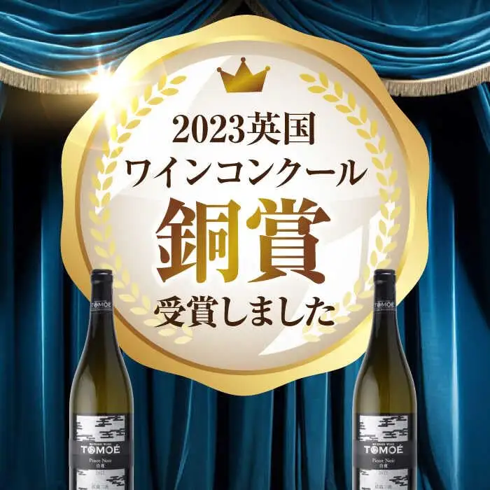 白ワイン TOMOE 白夜 白 辛口 ピノ・ノワール 750ml×2本 広島 三次ワイナリー [APAZ103] ワイン