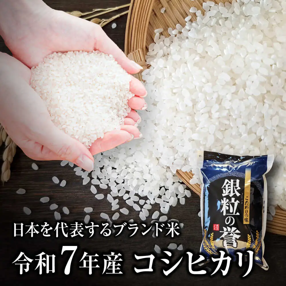 【全2回定期便】こしひかり 10kg  【令和7年産米】 [APDC006] コシヒカリ