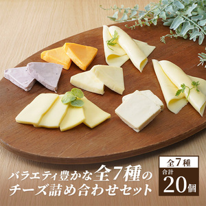 チーズ 定期便 6ヶ月 20個 詰め合わせ セット チーズ