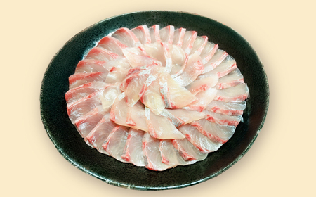 【五島列島直送】 養殖はまち 一本もの（約4.5kg）【有福水産】[RBV008]