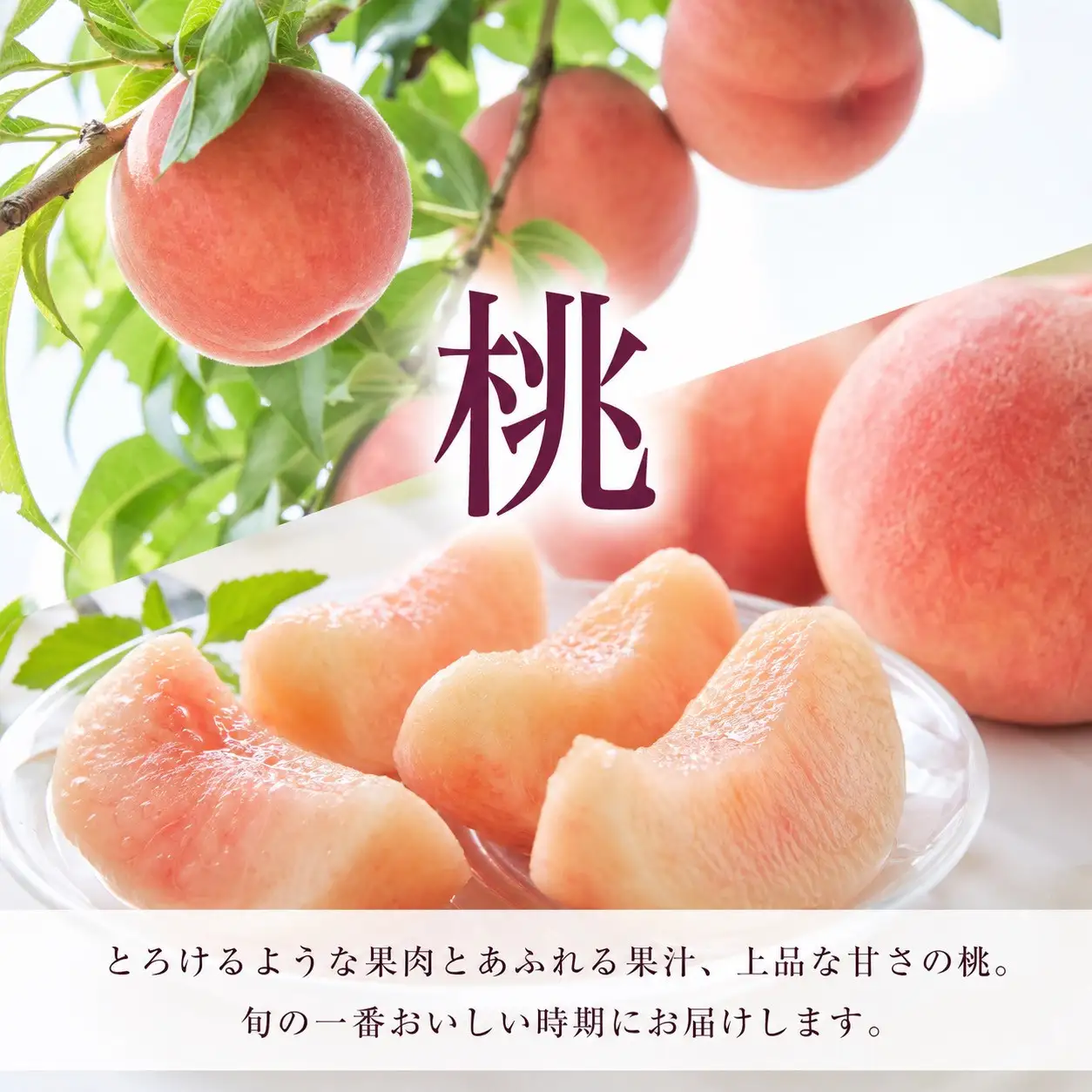 ［全3回 定期便］ 紀州和歌山産旬のフルーツセット（桃・梨・ピオーネ） ［UT142］