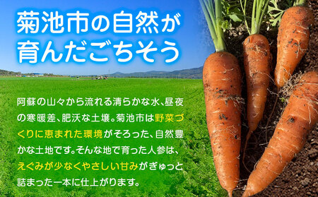 【先行予約】人参 約5kg (17-33本) 日本フルーツ株式会社《4月上旬-6月上旬頃出荷》熊本県 菊池市 にんじん ニンジン 野菜 熊本県産