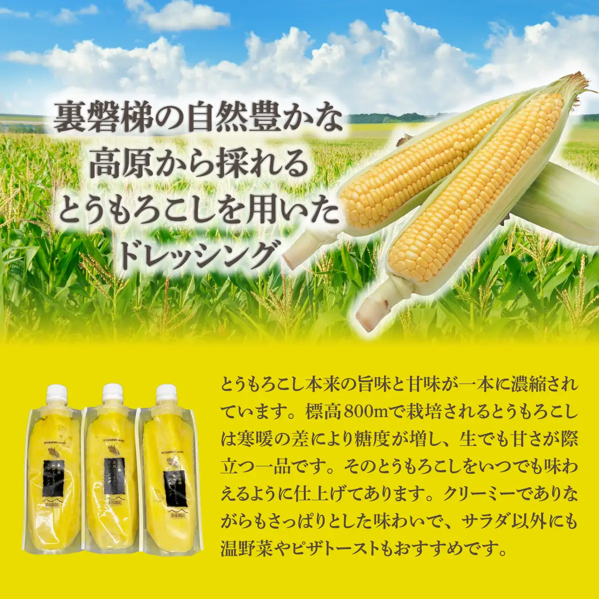 高原とうもろこしドレッシング3本セット KBJ031