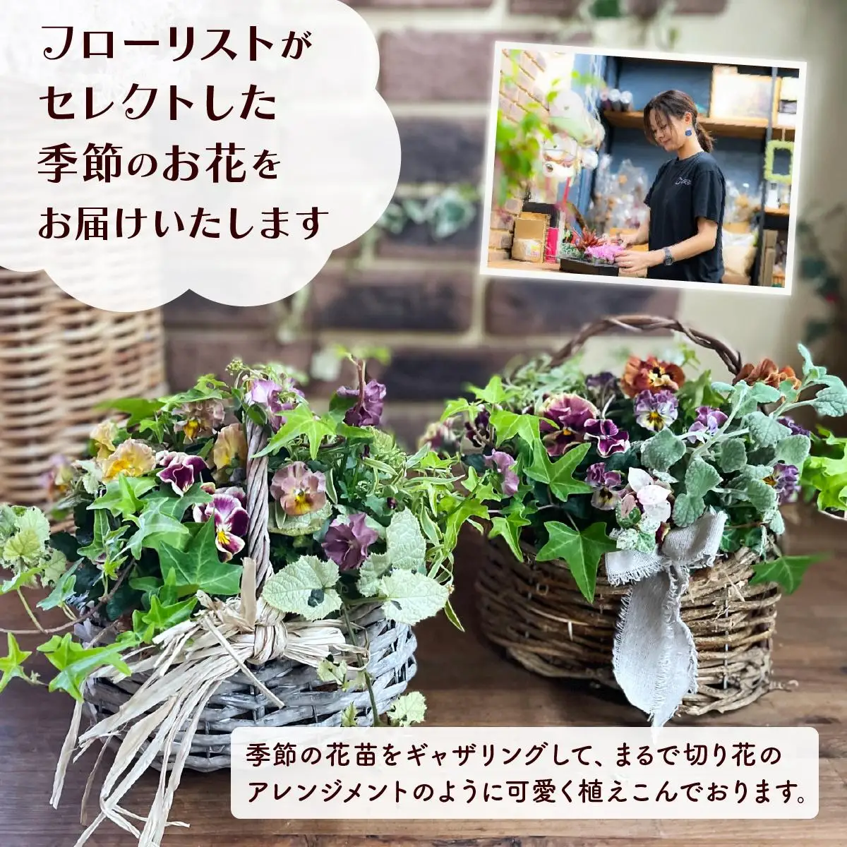 通常便 1回 15~20株!! 季節の寄せ植え 「ブリコラージュフラワー」D-528