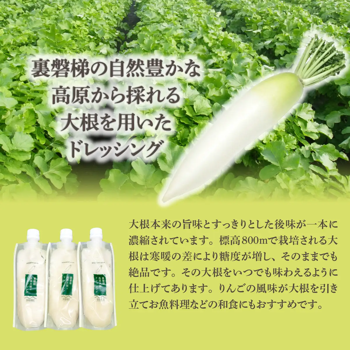 高原大根ドレッシング3本セット KBJ032