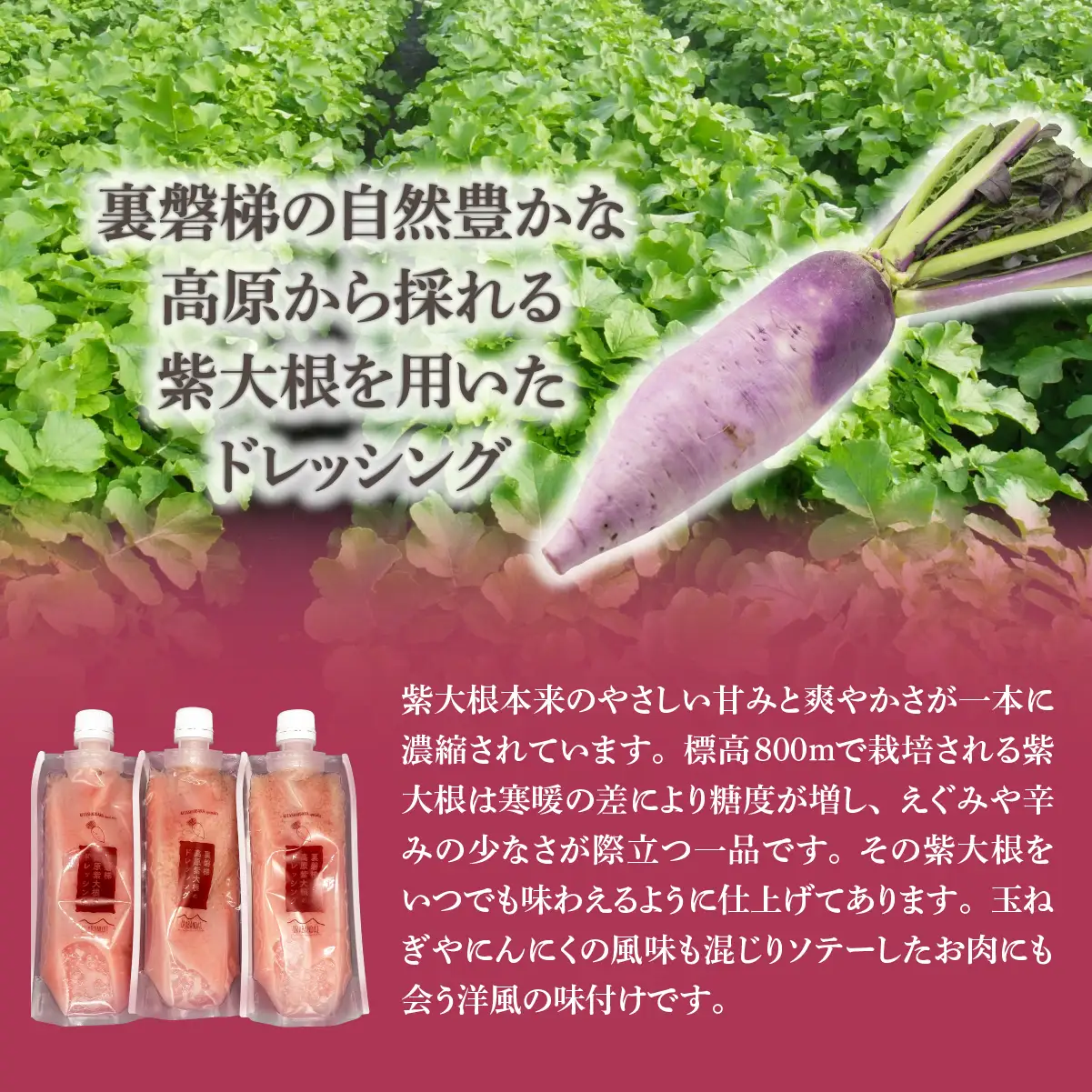 紫大根ドレッシング3本セット KBJ033