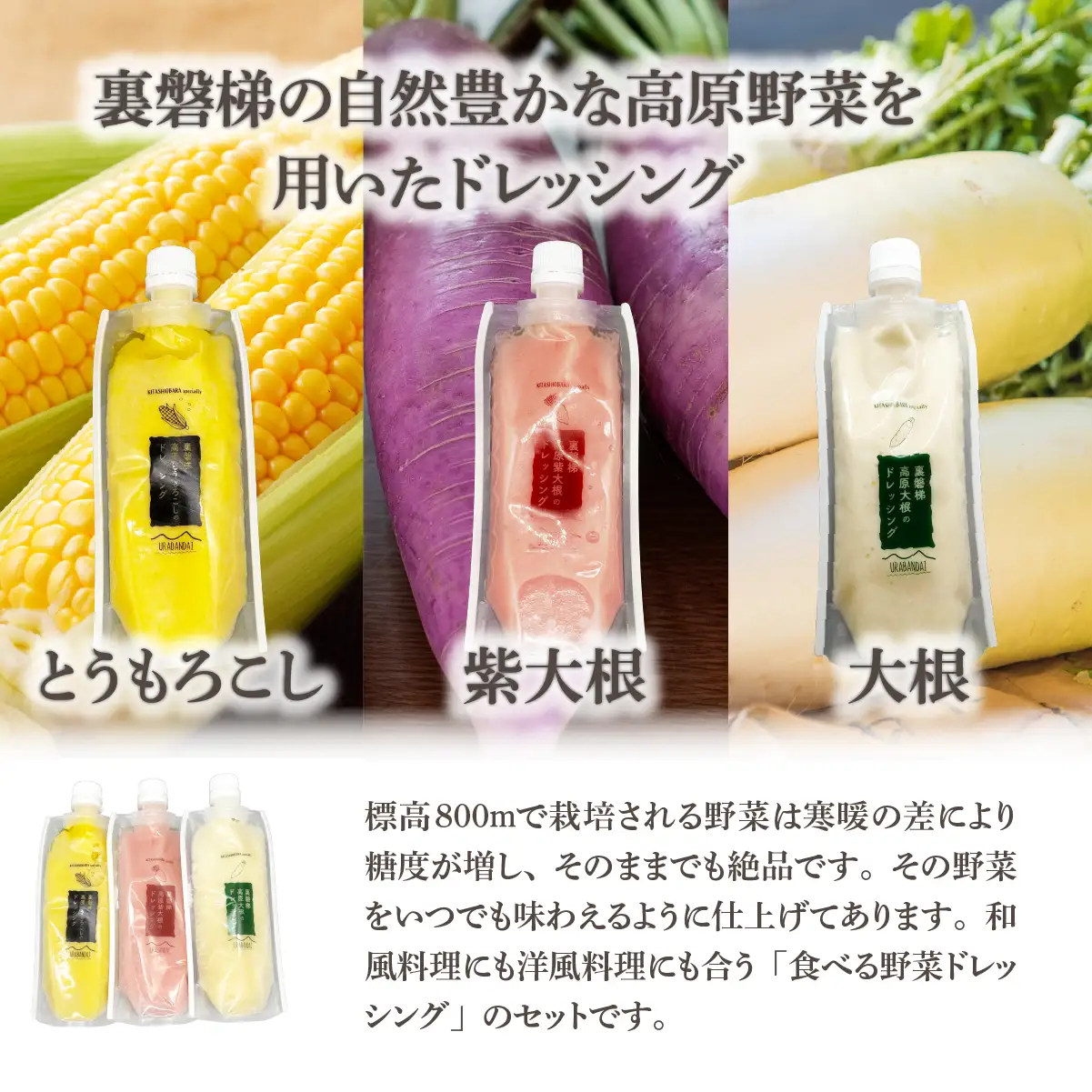 高原ドレッシング3種セット KBJ034