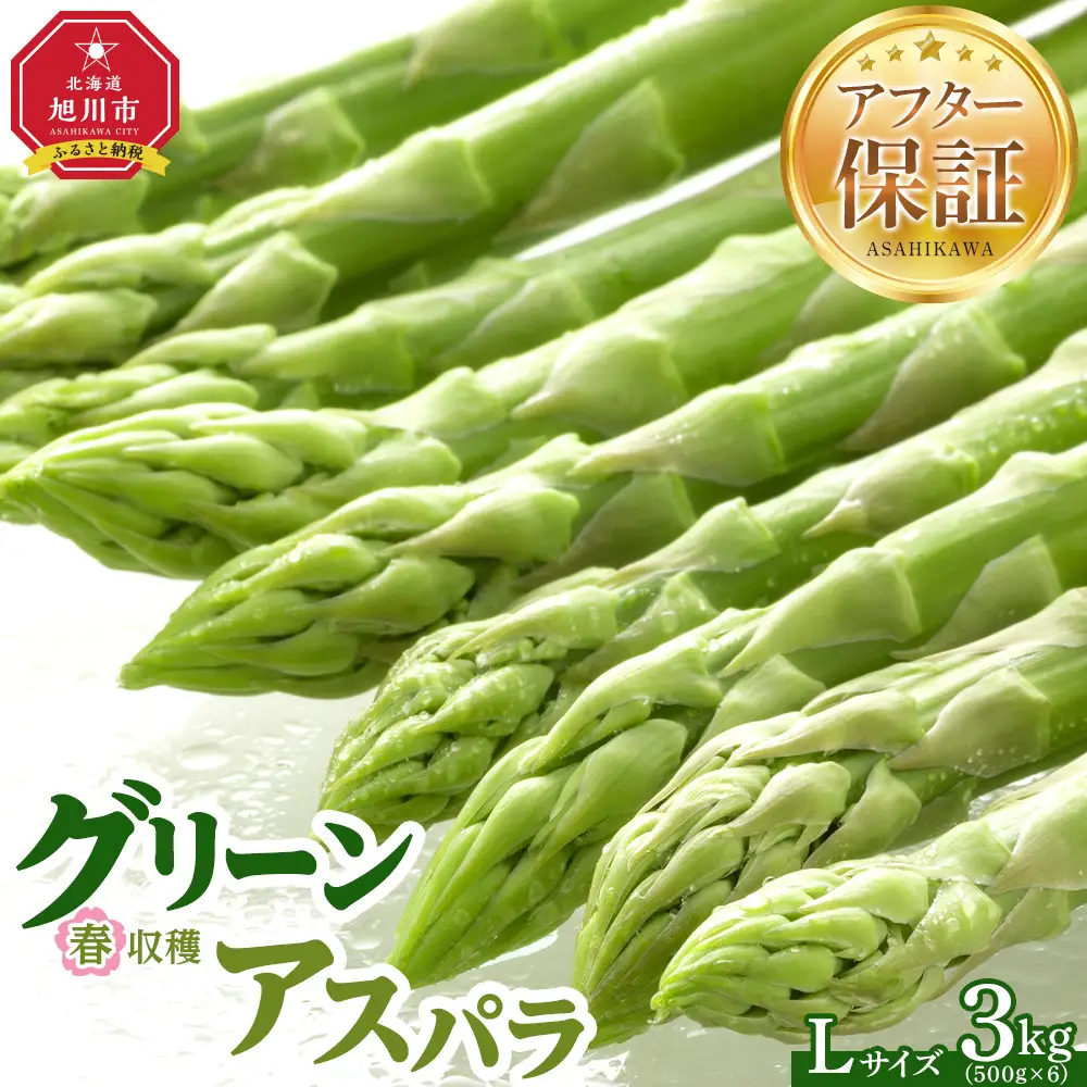 春収穫グリーンアスパラLサイズ（500g×6）約3.0kg（2027年6月上旬から発送開始）| アスパラ 北海道_05533