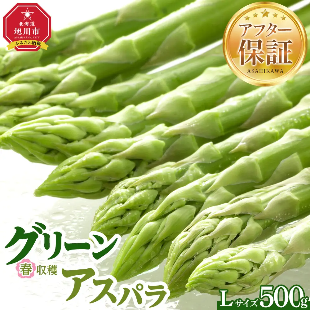 春収穫グリーンアスパラLサイズ　約500g（2027年6月上旬から発送開始）| アスパラ 北海道_05529