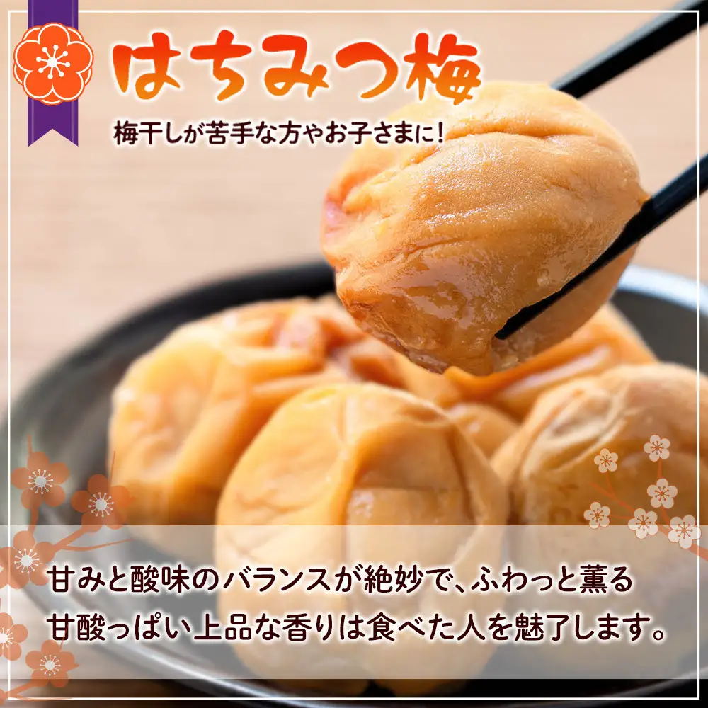 訳あり つぶれ 梅干し 500g×10パック 合計5kg はちみつ 塩分 約5％［TR2w］