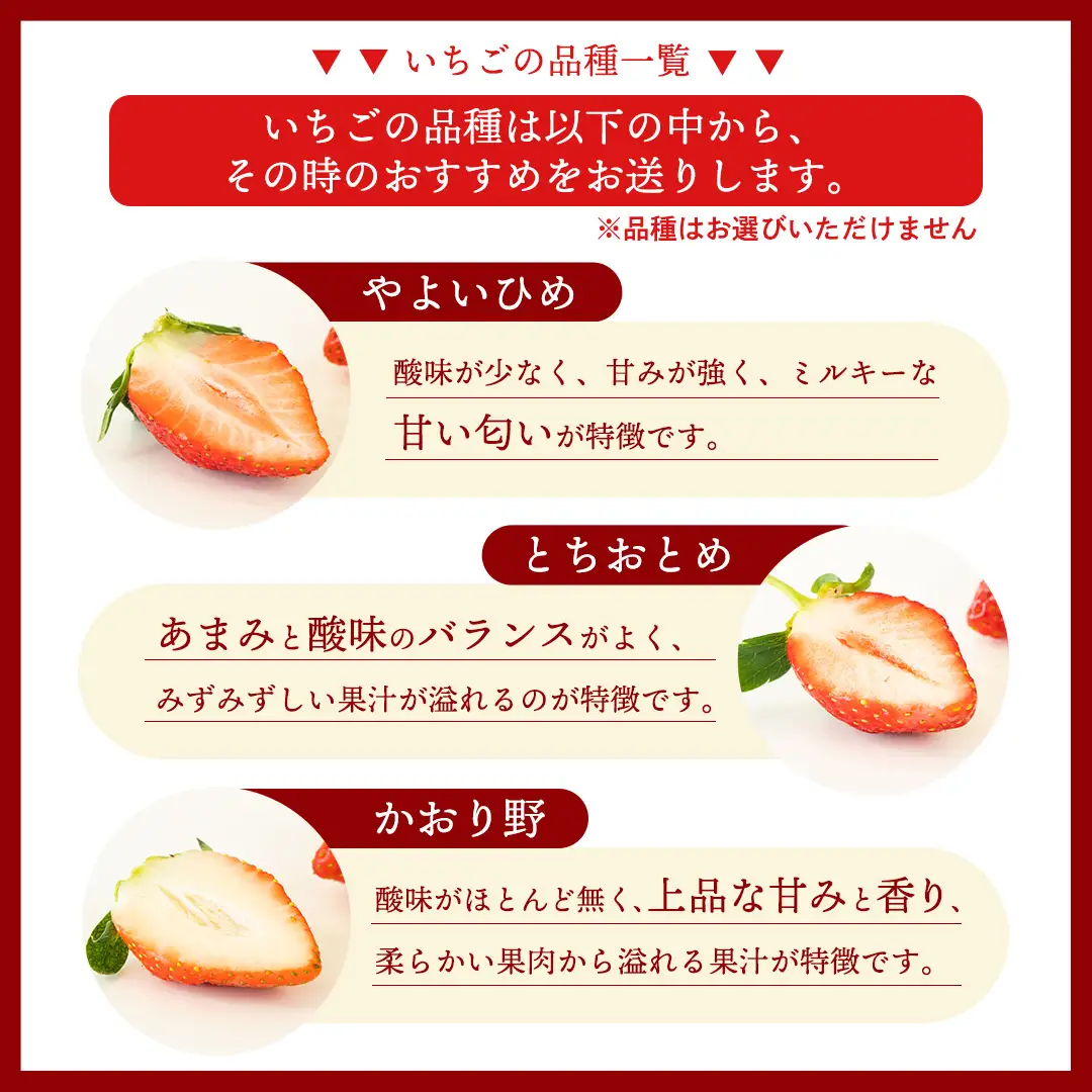 【12月&1月】 全2回 定期便 採れたて完熟いちご 260g×2パック×2回 2ヶ月 かおり野 とちおとめ やよいひめ 国産 イチゴ 苺 年内 年末 年始 [BC092sa]