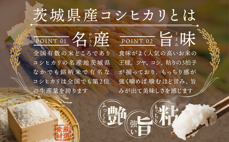 最短翌日出荷!! 茨城県産 ミルキークイーン 5kg