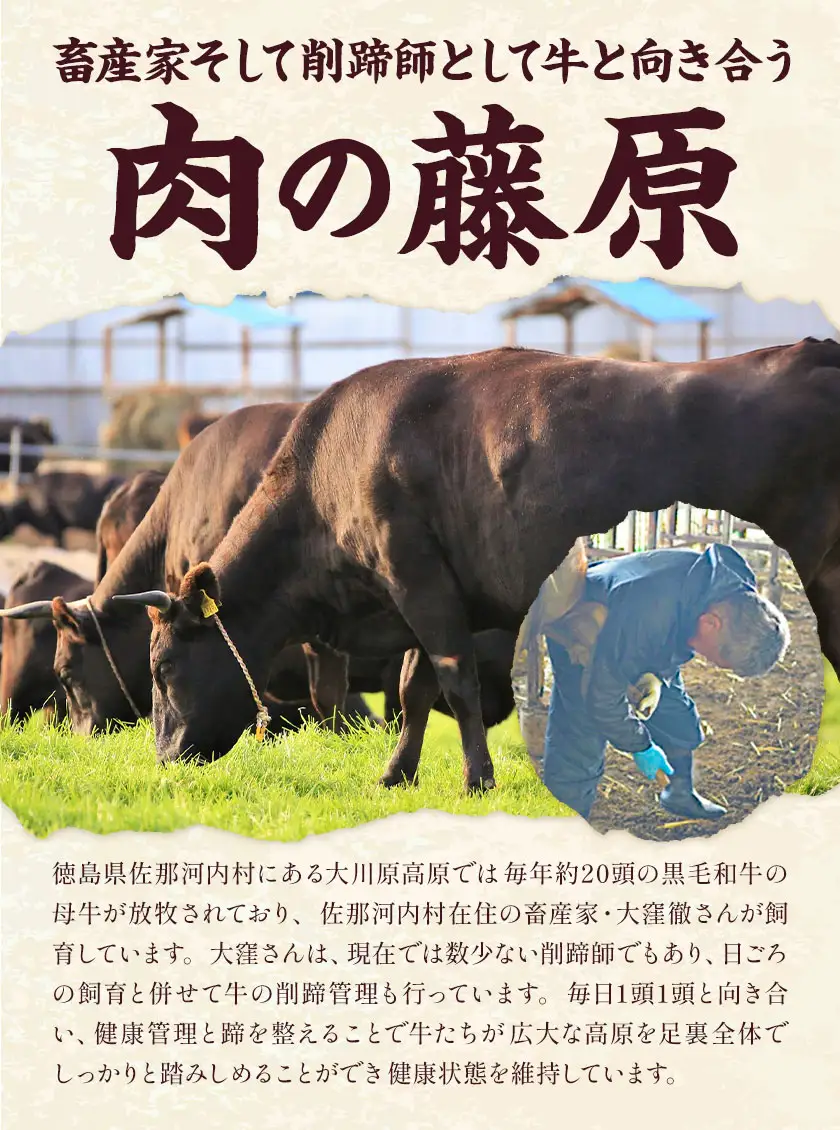 大川原高原牛 赤身モモスライス 1kg 肉の藤原《30日以内に出荷予定(土日祝除く)》