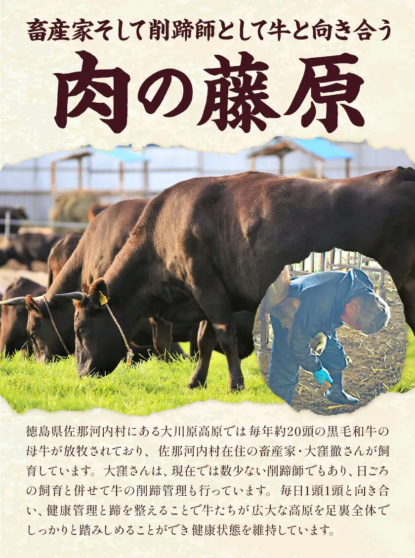 大川原高原牛 赤身モモしゃぶしゃぶ 1kg 牛肉