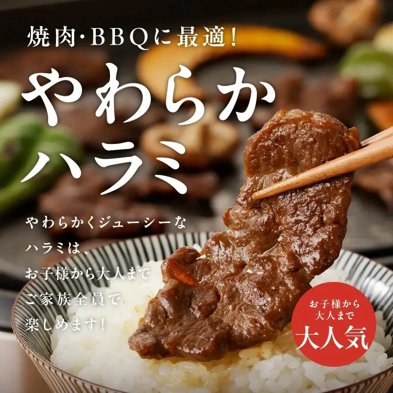 やわらかハラミ 500g