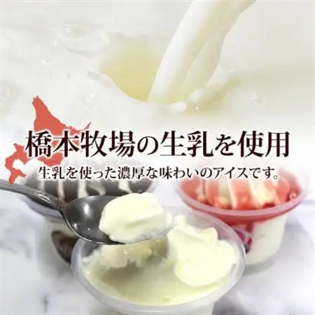 十勝橋本牧場 プレミアムソフト 全味食べ比べセット(3種×各3個)【配送不可地域：離島・沖縄県】【1675557】