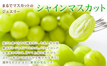 【先行予約】シャインマスカット 秀品 約2kg(3-7房) 