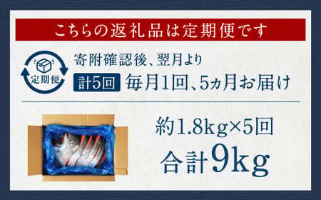 【5カ月定期便】【訳あり】 厚切り 銀鮭切身 約1.8kg×5回 合計約9kg 銀鮭 鮭 サケ 切り身 魚 魚介 しゃけ
