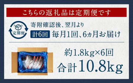 【6カ月定期便】【訳あり】 厚切り 銀鮭切身 約1.8kg×6回 合計約10.8kg 銀鮭 鮭 サケ 切り身 魚 魚介 しゃけ