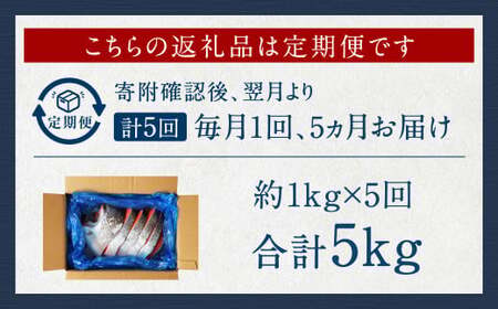 【5カ月定期便】【訳あり】 厚切り 銀鮭切身 約1kg×5回 合計約5kg 銀鮭 鮭 サケ 切り身 魚 魚介 しゃけ