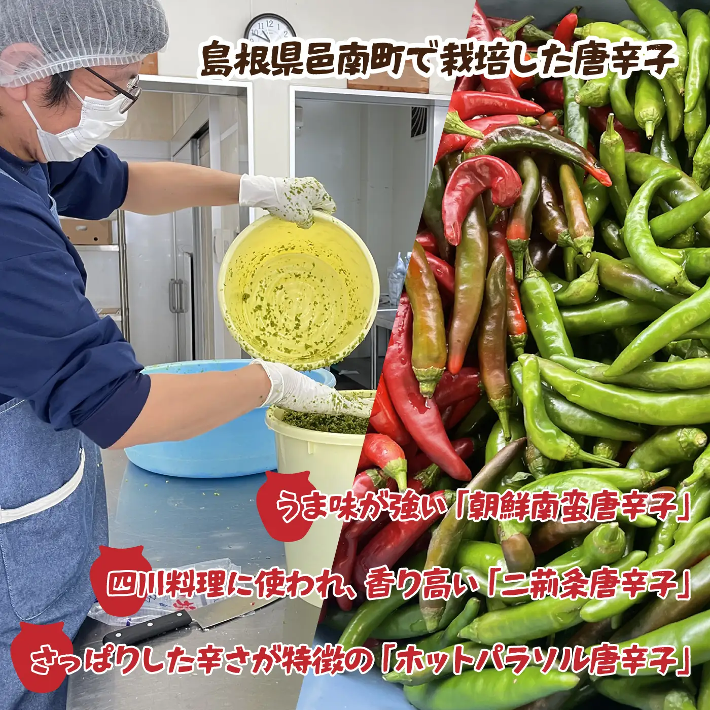 【二荊条唐辛子使用】柚子胡椒 40ｇ×2個（青-1個・赤-1個）・一味唐辛子 16ｇ✕2個「はすみSTOCK（すとっく）」
